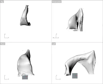 Spirit - BFR - Body Form Research (2019)