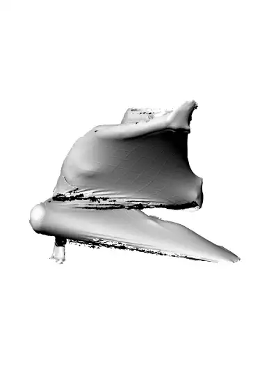 aranea 3D scan - BFR - Body Form Research (2019)